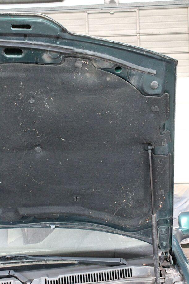 Foto: MOTORHAUBE ( LAKIERBEDÜRFTIG ) eines VW Bora 1.9 TDI acenta