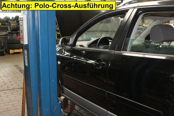 Foto: TÜR VORN LINKS eines VW Polo 1.9 TDI