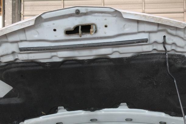 Foto: MOTORHAUBE eines Nissan Primera Traveller 1.8