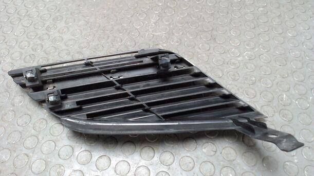 Foto: KÜHLERGRILL / NIERE LINKS eines Nissan Primera Traveller 1.8