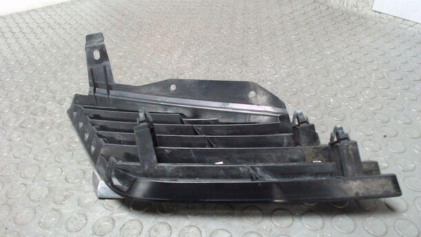 Foto: KÜHLERGRILL / NIERE LINKS eines Nissan Primera Traveller 1.8