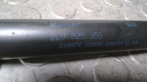 Foto: HAUBENDÄMPFER eines Audi A3 1.6