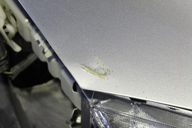 Foto: MOTORHAUBE ( VOR FACELIFT ) eines Ford Focus 1.6 Ti-VCT Business