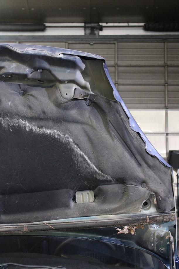 Foto: MOTORHAUBE ( 2000 - 2004 ) eines Citroen Xsara Picasso 1.8i