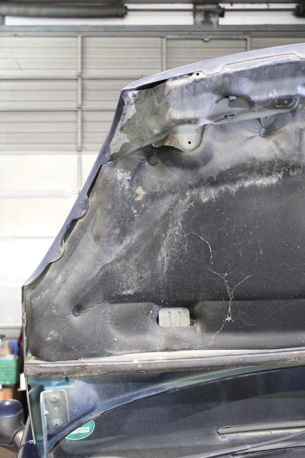 Foto: MOTORHAUBE ( 2000 - 2004 ) eines Citroen Xsara Picasso 1.8i