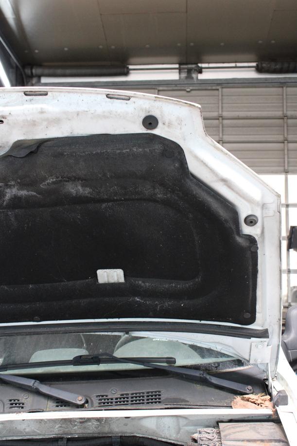 Foto: MOTORHAUBE eines Citroen Berlingo 1.6 HDI GLXi