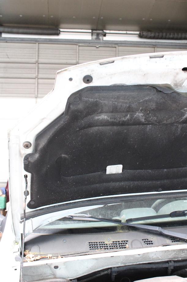 Foto: MOTORHAUBE eines Citroen Berlingo 1.6 HDI GLXi