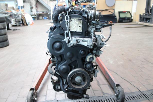 Foto: MOTOR DV6B eines Citroen Berlingo 1.6 HDI GLXi