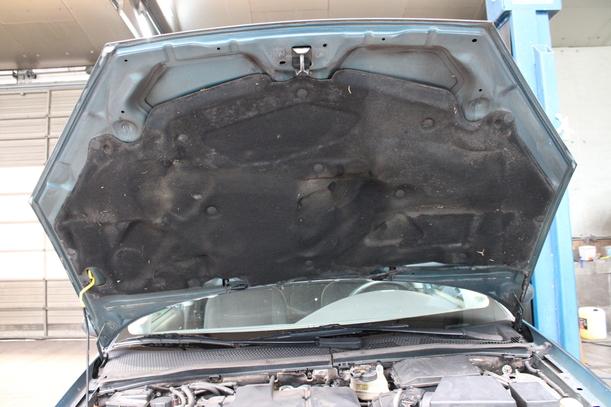 Foto: MOTORHAUBE eines Ford Focus TDCi GLXi