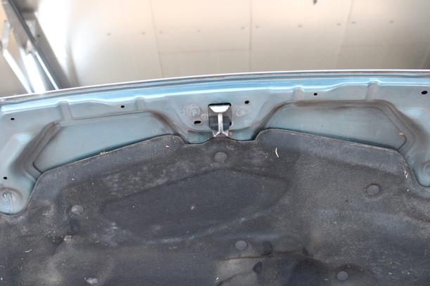 Foto: MOTORHAUBE eines Ford Focus TDCi GLXi