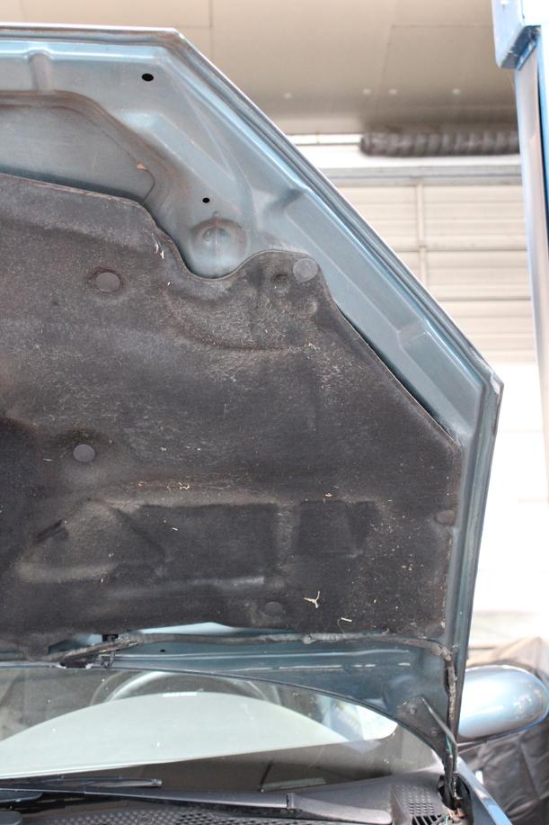 Foto: MOTORHAUBE eines Ford Focus TDCi GLXi