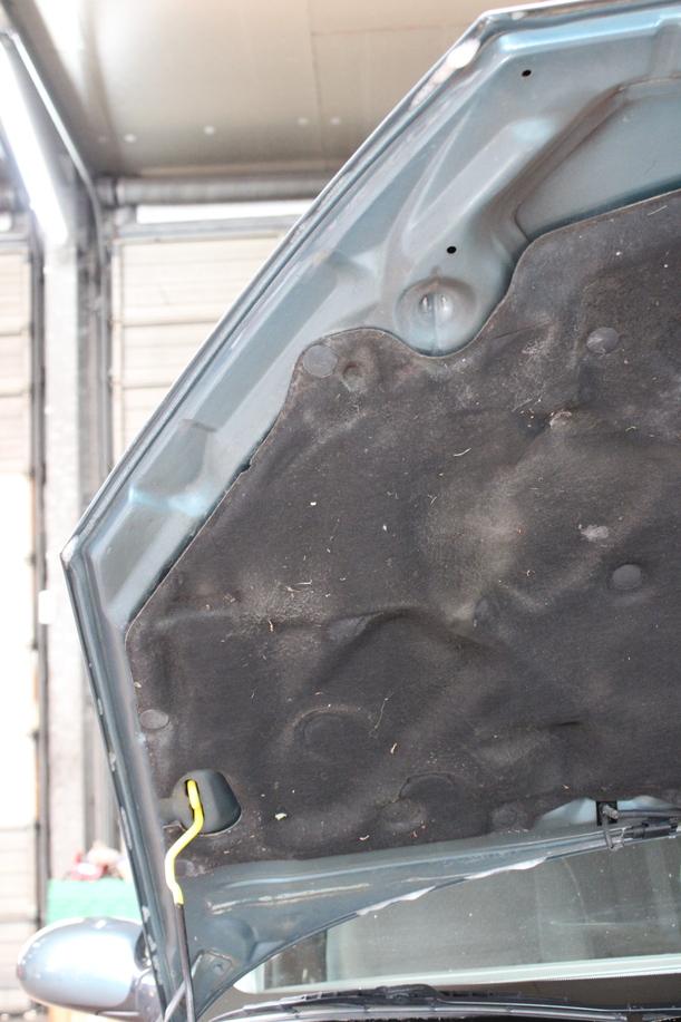 Foto: MOTORHAUBE eines Ford Focus TDCi GLXi