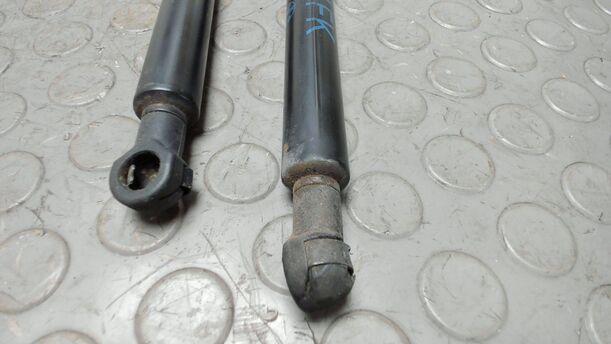 Foto: HAUBENDÄMPFERPAAR ( 330 N ) eines BMW 320d DPF Touring CLX