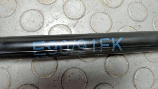 Foto: HAUBENDÄMPFERPAAR ( 330 N ) eines BMW 320d DPF Touring CLX