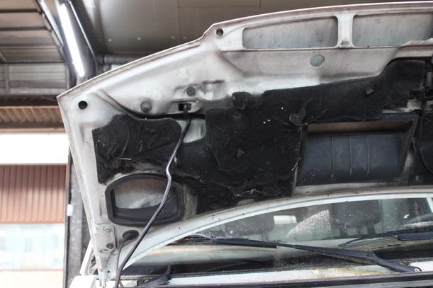 Foto: MOTORHAUBE eines VW Transporter T4 TDI