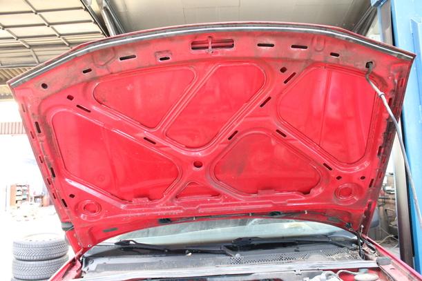 Foto: MOTORHAUBE eines VW Golf 1.6