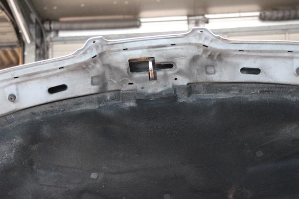 Foto: MOTORHAUBE eines Seat Leon 1.8 20V XL