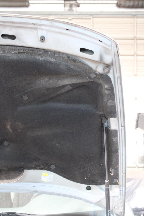 Foto: MOTORHAUBE eines Seat Leon 1.8 20V XL