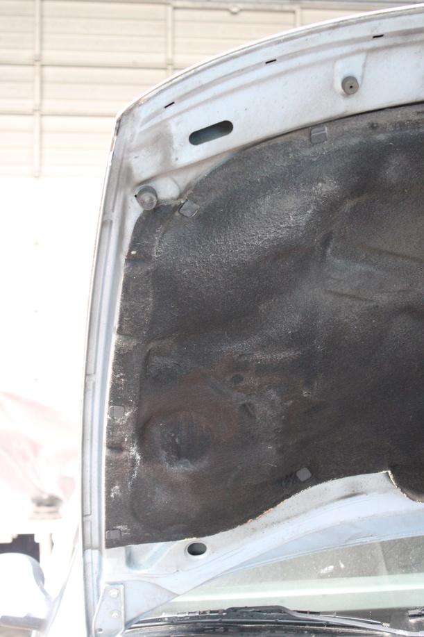 Foto: MOTORHAUBE eines Seat Leon 1.8 20V XL