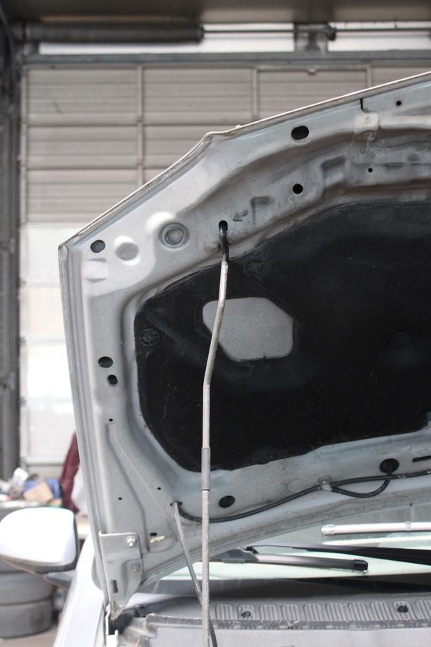 Foto: MOTORHAUBE eines Nissan Almera Tino Lounge