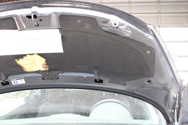 Foto: MOTORHAUBE eines Peugeot 207 CC 120 VTi Lounge