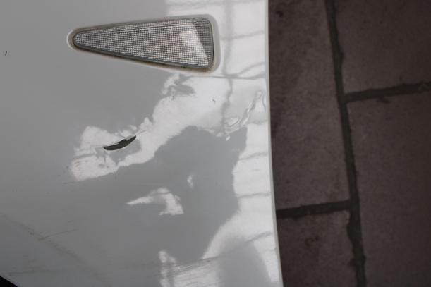 Foto: KOTFLÜGEL LINKS eines Dacia Sandero 1.2 16V Style