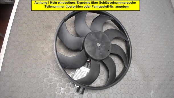 Foto: ELEKTROLÜFTER eines Ford C-MAX 1.6 Style