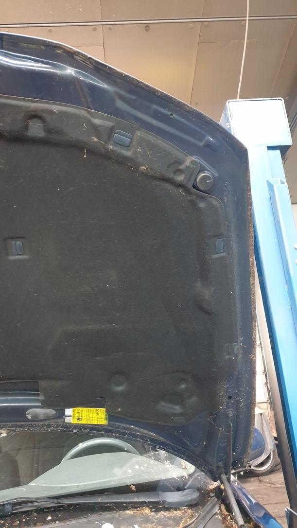 Foto: MOTORHAUBE eines Volvo S60 2.4 Style