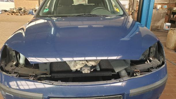 Foto: MOTORHAUBE eines Ford Mondeo 1.8 Turnier Style