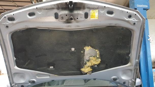 Foto: MOTORHAUBE eines Renault Laguna Grandtour 2.0 dCi Style