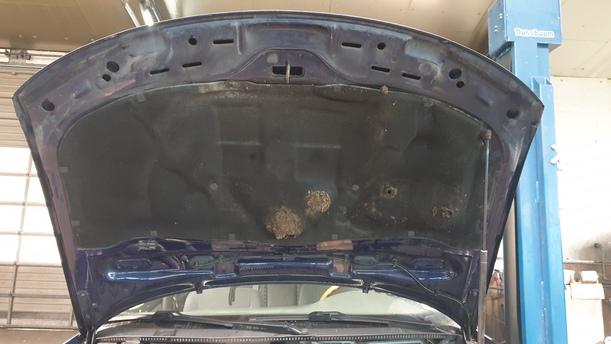 Foto: MOTORHAUBE eines VW Passat Variant 1.9 TDI Style