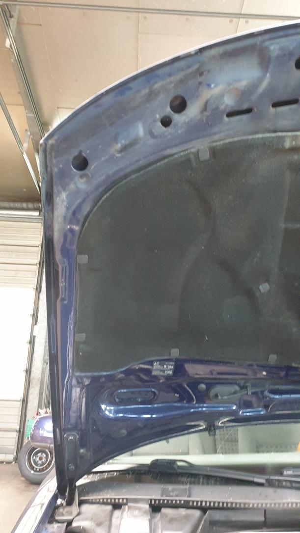 Foto: MOTORHAUBE eines VW Passat Variant 1.9 TDI Style