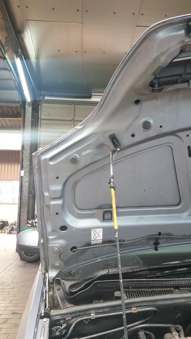Foto: MOTORHAUBE eines Opel Meriva 1.6 L