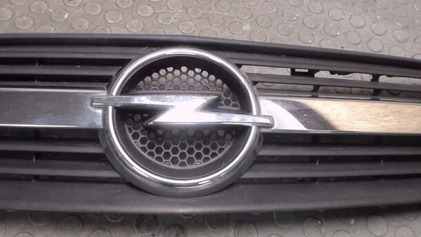 Foto: KÜHLERGRILL eines Opel Meriva 1.6 L