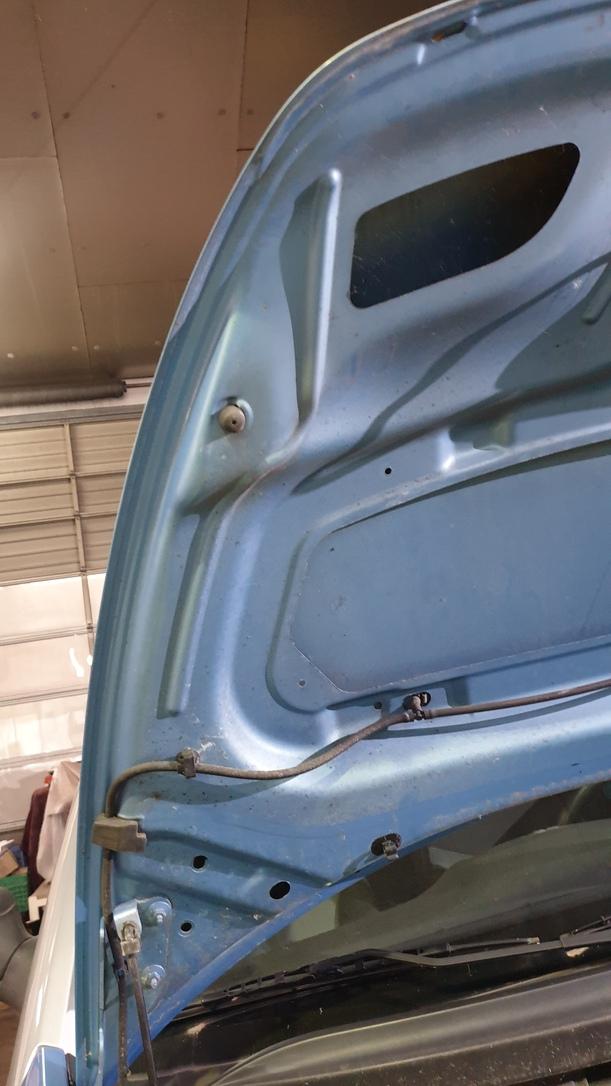 Foto: MOTORHAUBE eines Citroen C3 Pluriel 1.4 L