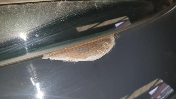 Foto: HECKKLAPPE / HECKDECKEL eines Peugeot 206+ 60 L