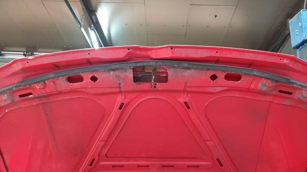 Foto: MOTORHAUBE eines VW Golf 1.6