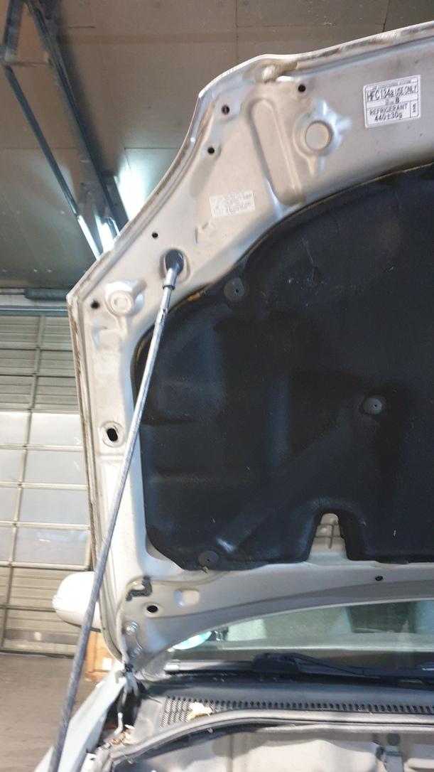 Foto: MOTORHAUBE ( 11.2008 ) eines Toyota Avensis 1.8 VVT-i Combi L