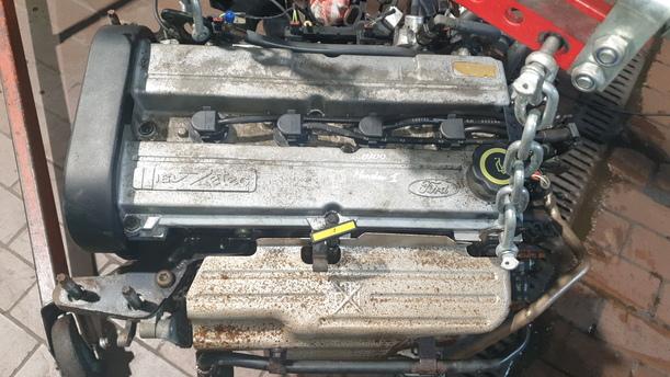 Foto: MOTOR L1F eines Ford Mondeo LX