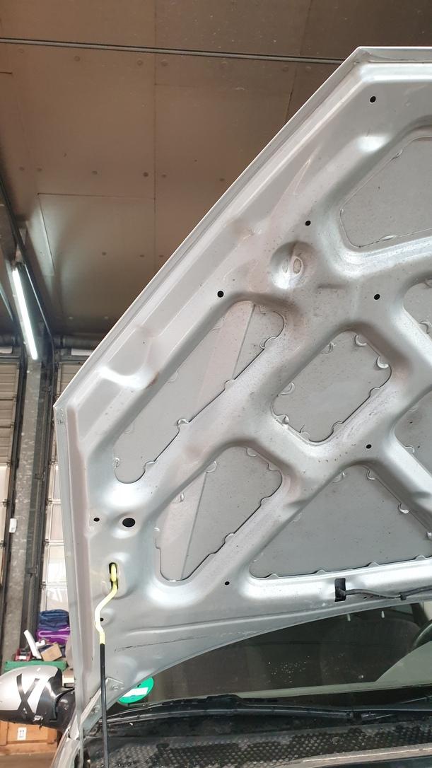 Foto: MOTORHAUBE eines Ford Focus LX