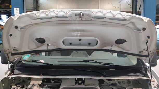 Foto: MOTORHAUBE eines Peugeot Expert L1H1