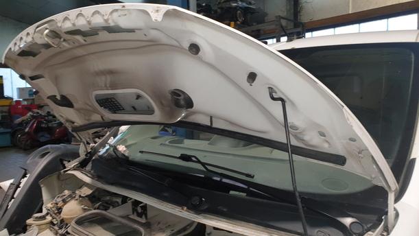 Foto: MOTORHAUBE eines Peugeot Expert L1H1