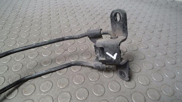 Foto: TÜRFANGBAND HECKTÜR LINKS eines Peugeot Expert L1H1