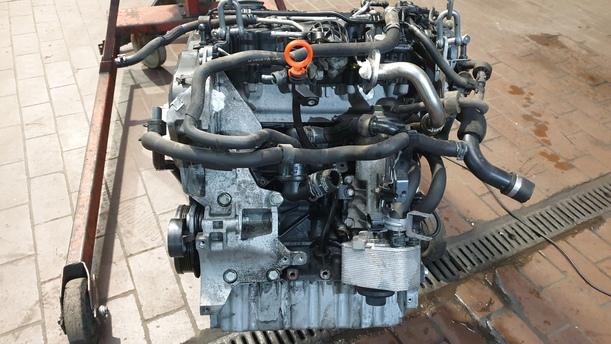 Foto: MOTOR CBD eines VW Passat Variant 2.0 TDI DPF