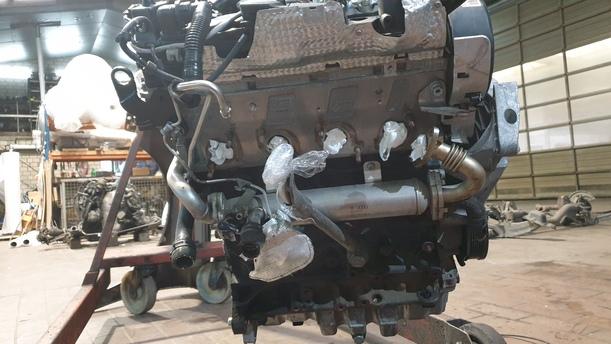 Foto: MOTOR CBD eines VW Passat Variant 2.0 TDI DPF