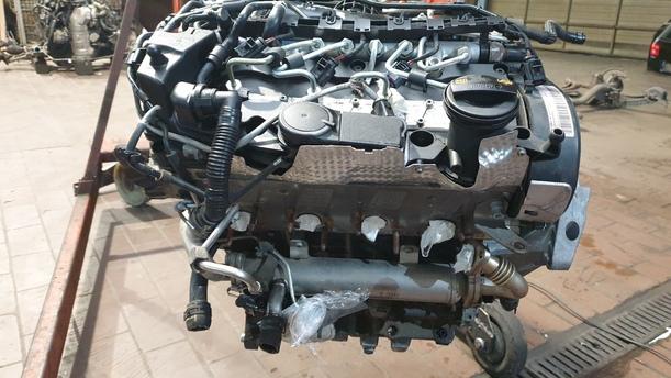 Foto: MOTOR CBD eines VW Passat Variant 2.0 TDI DPF