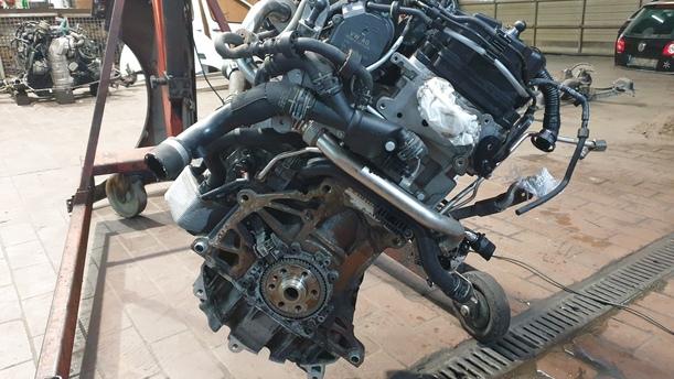 Foto: MOTOR CBD eines VW Passat Variant 2.0 TDI DPF