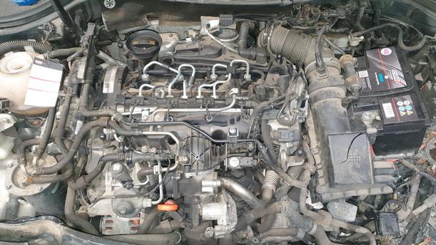 Foto: MOTOR CBD eines VW Passat Variant 2.0 TDI DPF