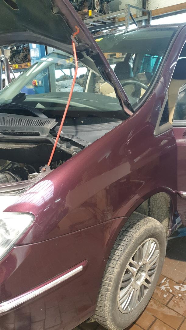 Foto: KOTFLÜGEL LINKS eines Lancia Phedra 2.2 Multijet 16v DPF GL