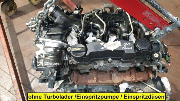Foto: MOTOR G8DD eines Ford Focus Turnier 1.6 TDCi DPF Sport